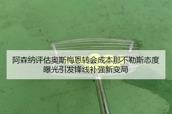 阿森纳评估奥斯梅恩转会成本那不勒斯态度曝光引发锋线补强新变局