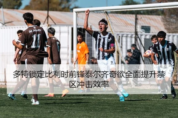 多特锁定比利时前锋泰尔齐奇欲全面提升禁区冲击效率