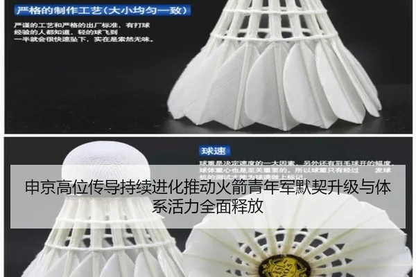 申京高位传导持续进化推动火箭青年军默契升级与体系活力全面释放